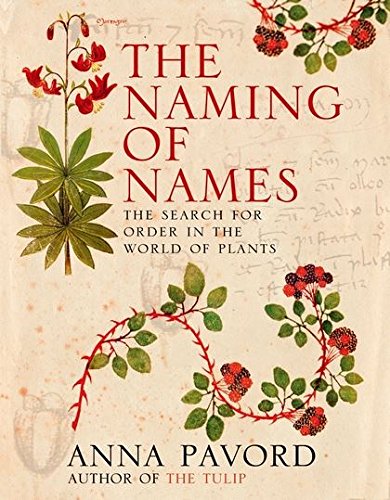 Die Tulpe. Eine Kulturgeschichte von Anna Pavord - Gebundene Ausgabe