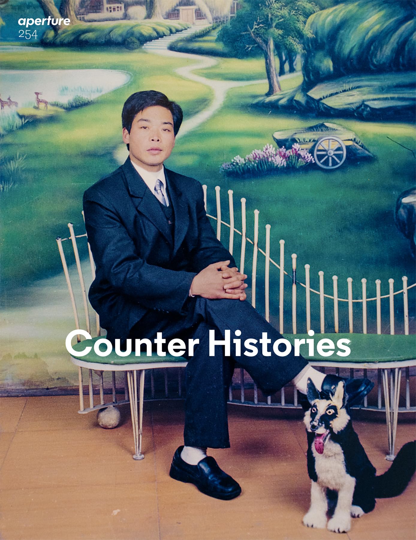 Magazine Aperture 254 Counter Histories