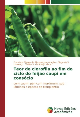 Teor de clorofila ao fim do ciclo do feijão caupi em consócio: com capim panicum maximum, sob lâminas e epócas de tranplantio
