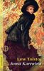 Anna Karenina: Roman (insel taschenbuch)