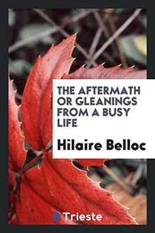 The aftermath or gleanings from a busy life