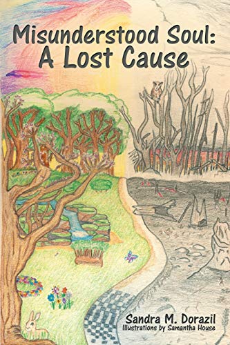 Misunderstood Soul: A Lost Cause