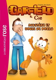 Garfield 10 - Mystère et boule de poils von Arnaud Huber | Buch | gebraucht – sehr gut
