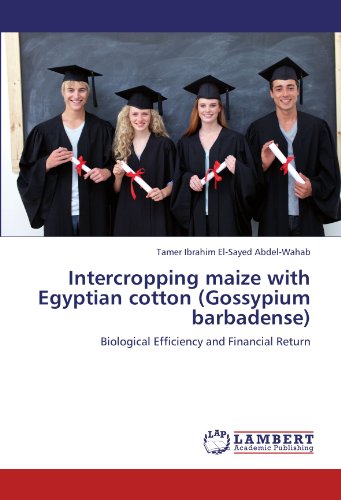 Intercropping maize with Egyptian cotton (Gossypium barbadense): Biological Efficiency and Financial Return