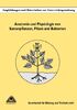 Anatomie und Physiologie von Samenpflanzen, Pilzen und Bakterien, Empfehlungen und Materialien zur Unterrichtsgestaltung