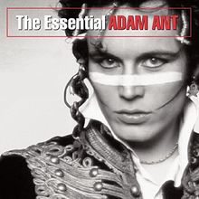The Essential
