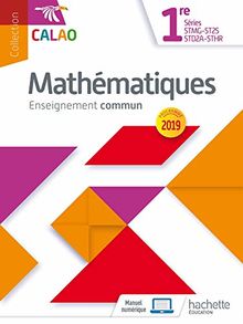 Mathématiques 1re séries STMG, ST2S, STD2A, STHR : enseignement commun : programme 2019