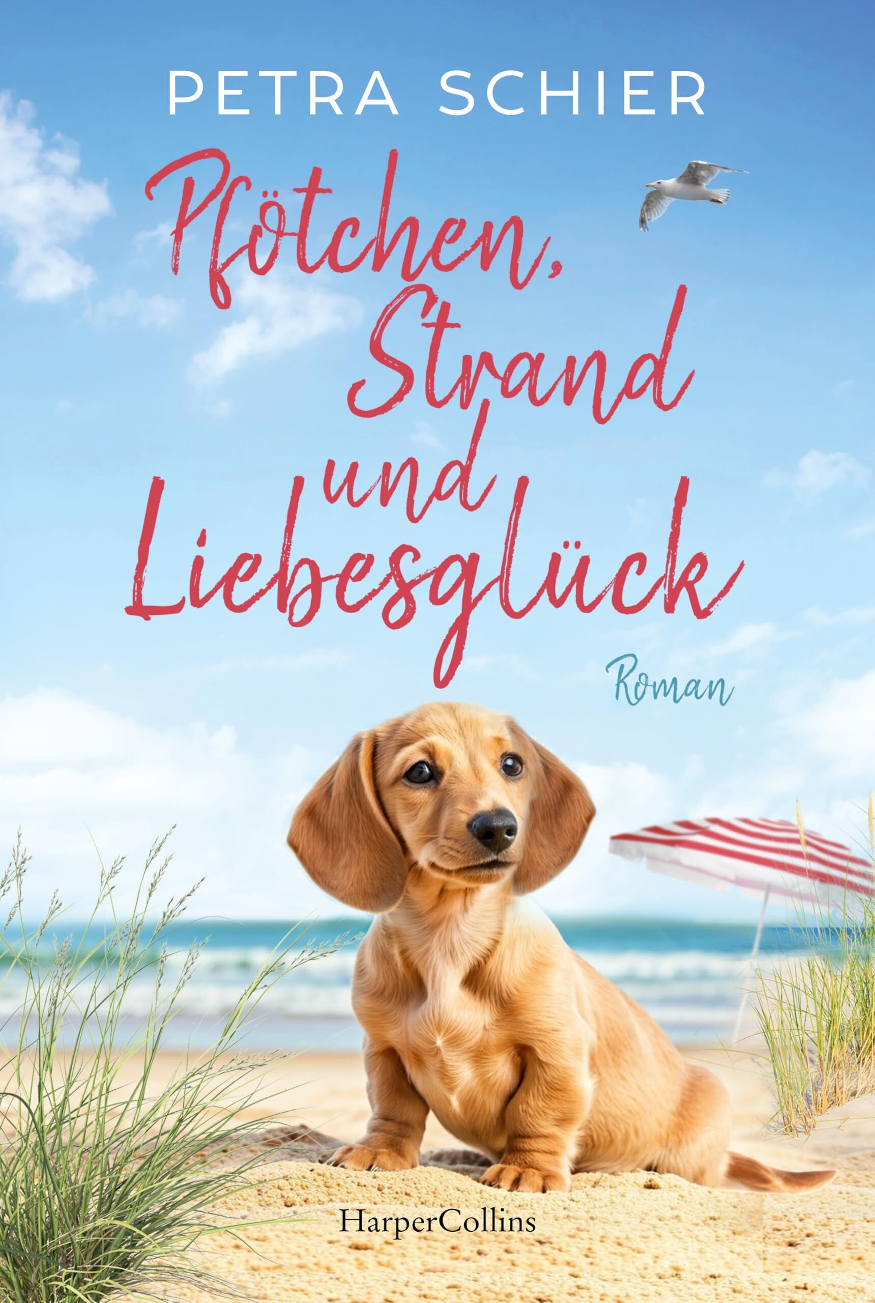 Schier, Petra: Pfötchen, Strand und Liebesglück