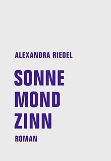 Sonne, Mond, Zinn: Roman