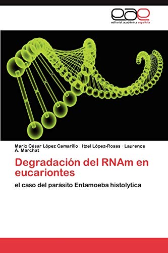 Degradación del RNAm en eucariontes: el caso del parásito Entamoeba histolytica