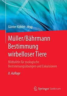 Müller/Bährmann Bestimmung wirbelloser Tiere: Bildtafeln für zoologische Bestimmungsübungen und Exkursionen