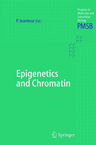 Epigenetics and Chromatin (Progress in Molecular and Subcellular Biology, Band 38)