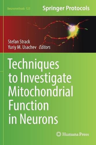Techniques to Investigate Mitochondrial Function in Neurons (Neuromethods)