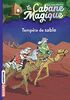 La cabane magique, Tome 29: Tempête de sable