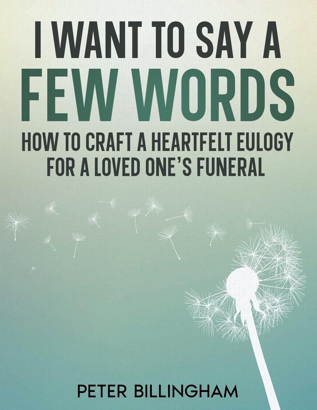 I Want to Say a Few Words: How To Craft a Heartfelt Eulogy for a Loved One's Funeral: A Simple Step-by-Step Process, Packed with Eulogy Writing Ideas, Help & Advice from a Professional Eulogy Writer
