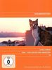 Kedi - von Katzen und Menschen. Zweitausendeins Edition Dokumentationen 78