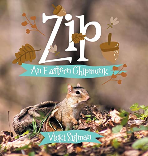 Zip: An Eastern Chipmunk