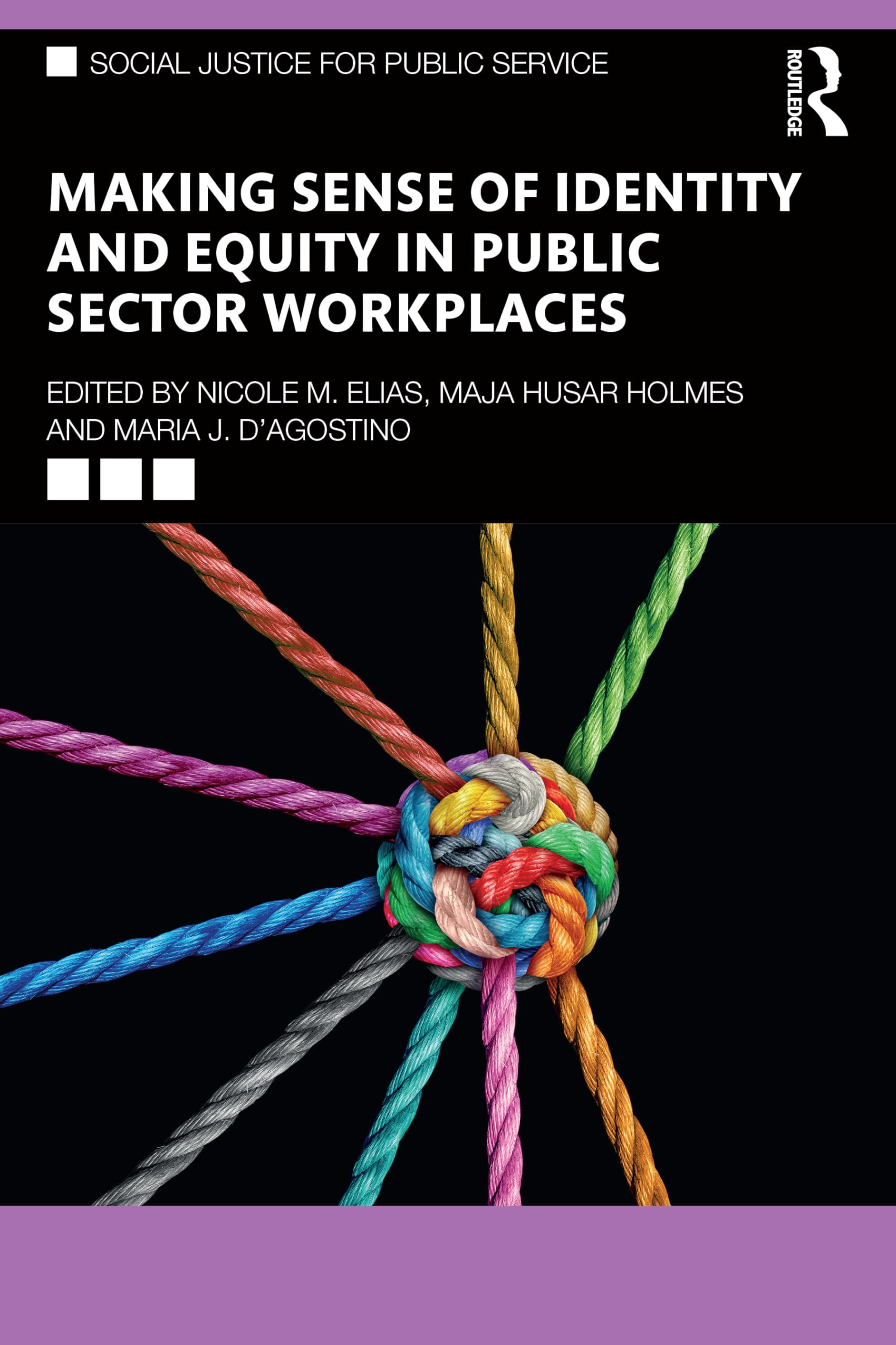 Making Sense of Identity and Equity in Public Sector Workplaces (Social Justice for Public Service)