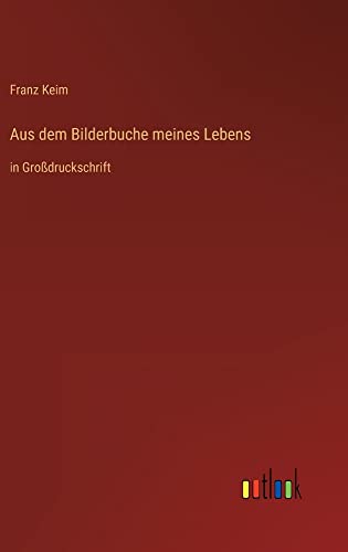 Aus dem Bilderbuche meines Lebens: in Großdruckschrift