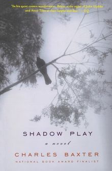 Shadow Play: A Novel (Norton Paperback)