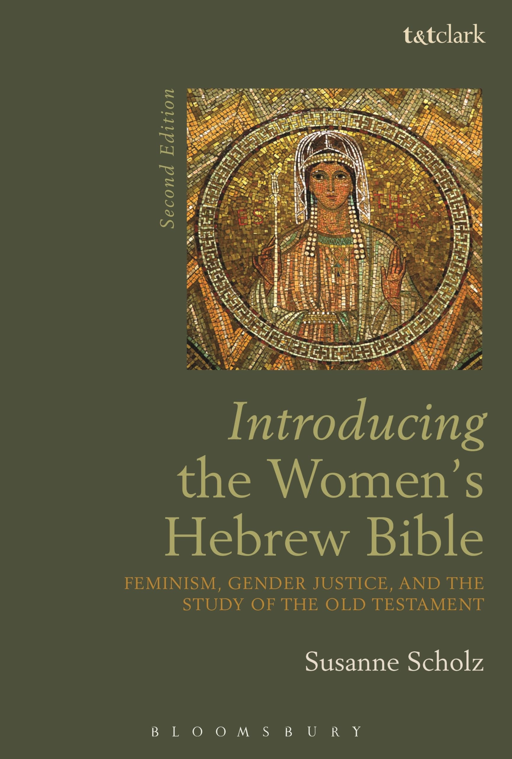Introducing the Women's Hebrew Bible: Feminism, Gender Justice, and the Study of the Old Testament (Introductions in Feminist Theology)