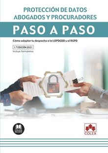 Protección de datos. Abogados y procuradores: Cómo adaptar tu despacho a la LOPDGDD y al RGPD (Paso a Paso, Band 1)