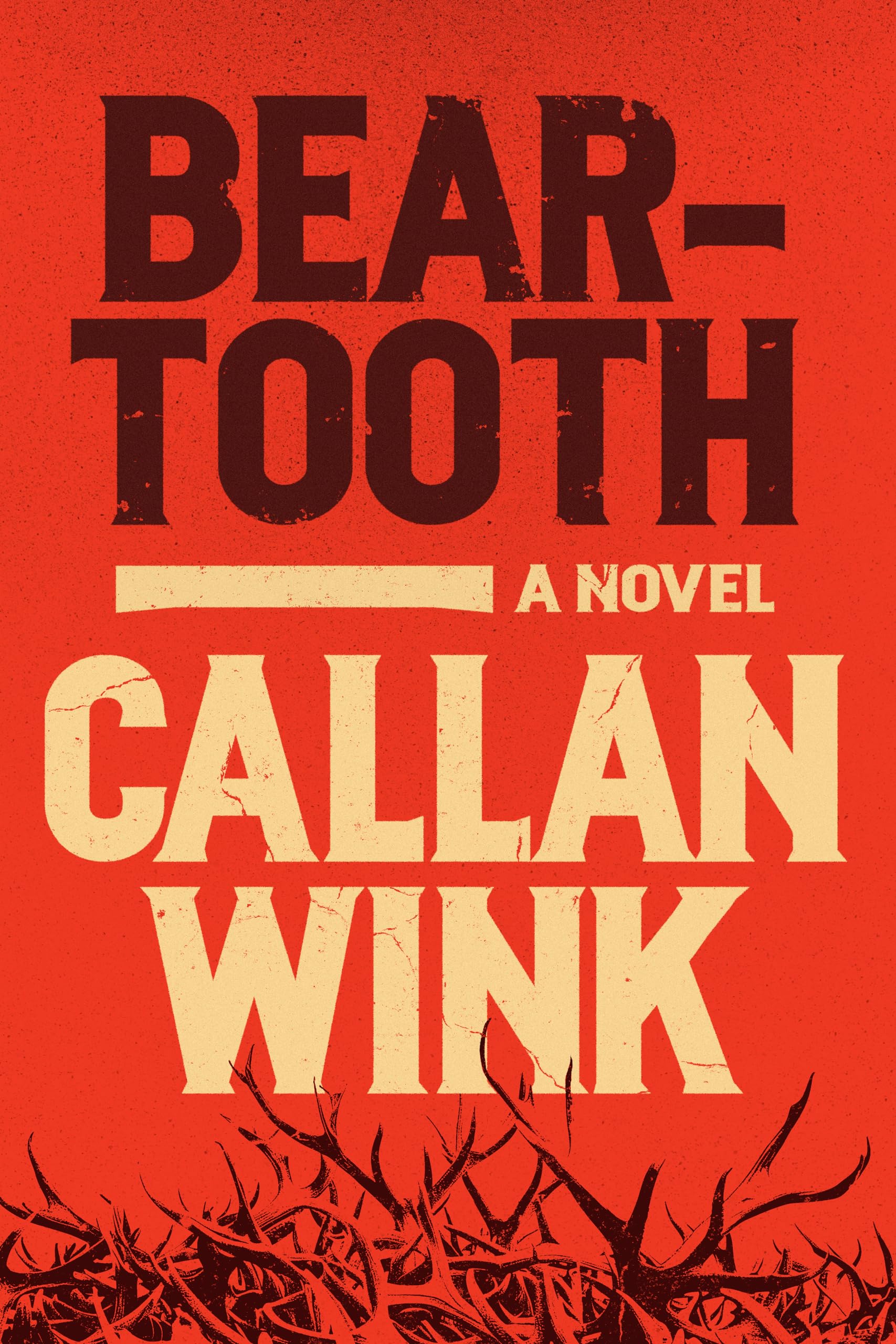 Callan Wink Beartooth, A Novel