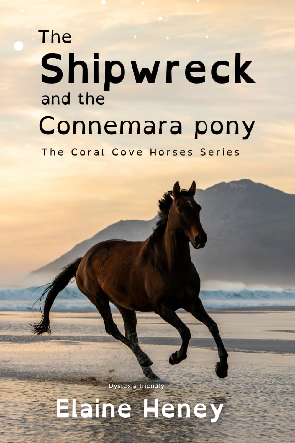 The Shipwreck and the Connemara Pony - Dyslexia Friendly (Coral Cove Dyslexia Friendly Pony Adventures, Band 5)
