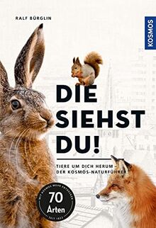 Die siehst du - Die Tiere um dich herum: Hase, Fuchs & Co. von Bürglin, Ralf | Buch | Zustand sehr gut