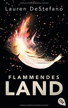 Flammendes Land (Die Chroniken der Fallenden Stadt, Band 2)