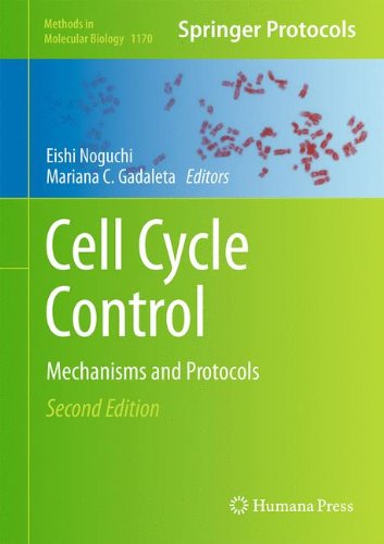 Cell Cycle Control: Mechanisms and Protocols (Methods in Molecular Biology)