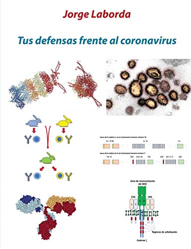 Tus defensas frente al coronavirus: Una breve introducción al sistema inmunitario