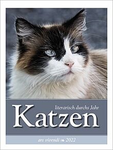 Katzen literarisch durchs Jahr 2022: Wochenkalender mit Fotografien und Zitaten