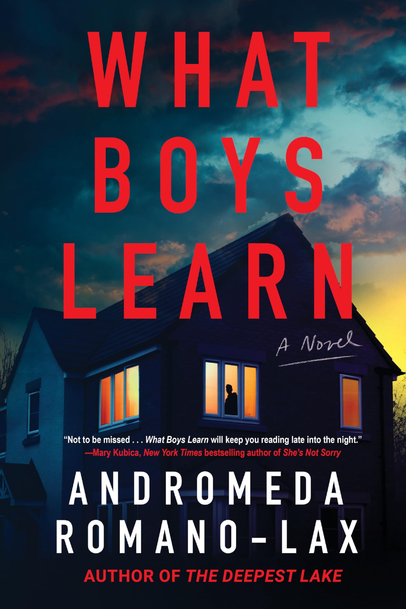 What Boys Learn