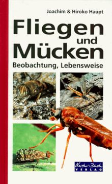 Fliegen und Mücken. Beobachtung, Lebensweise