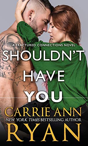 Shouldn't Have You (Fractured Connections, Band 2)
