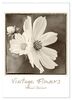 Vintage-Flowers (Wandkalender 2024 DIN A2 hoch), CALVENDO Monatskalender