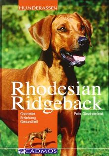 Rhodesian Ridgeback: Charakter, Erziehung, Gesundheit