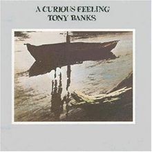 A Curious Feelings