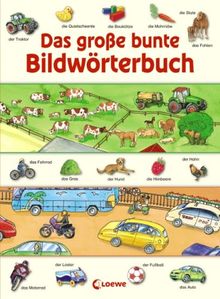 Das große bunte Bildwörterbuch