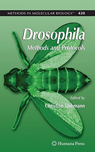 Drosophila: Methods and Protocols (Methods in Molecular Biology)