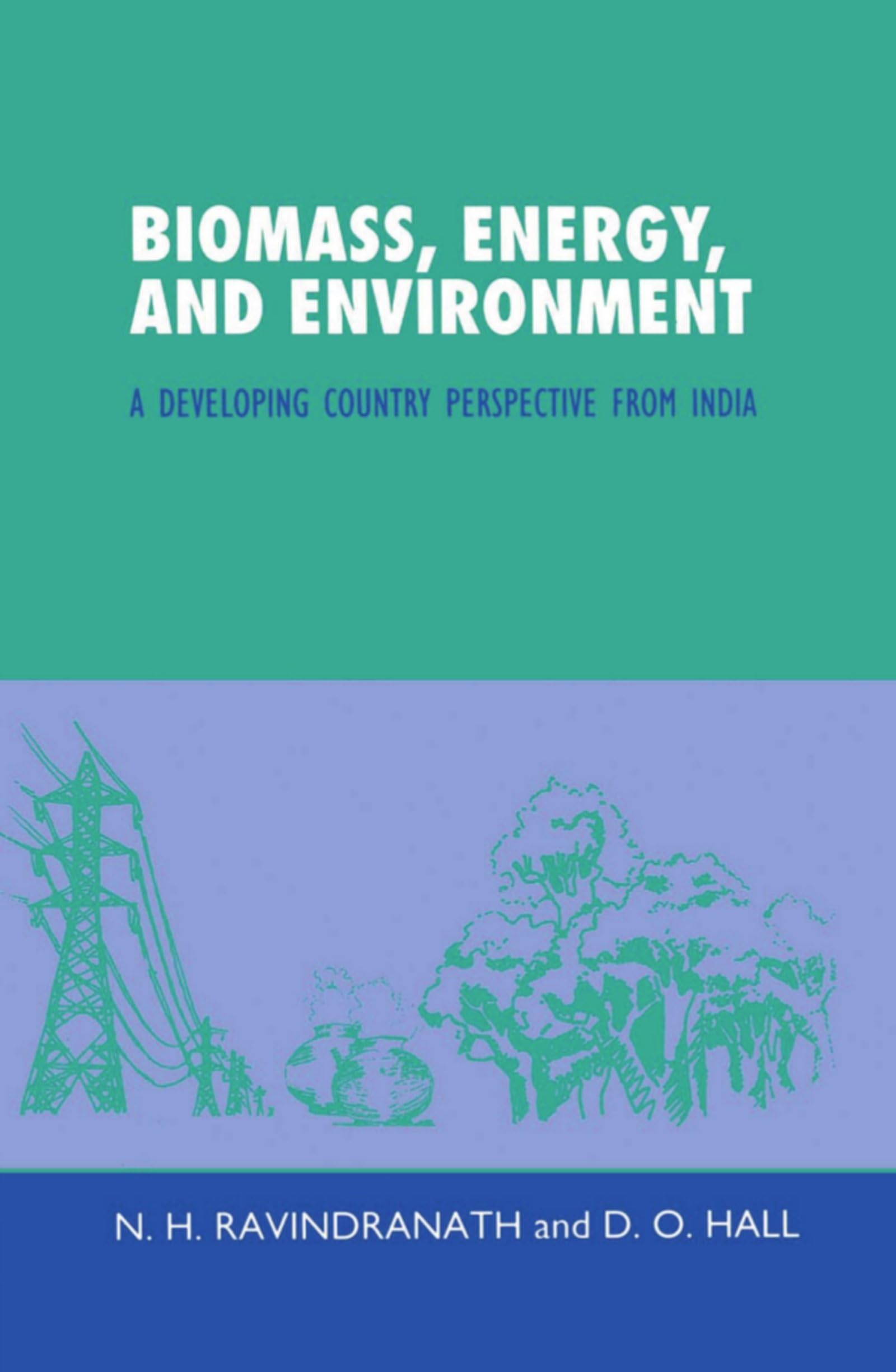 Biomass, Energy and Environment: A Developing Country Perspective from India