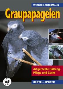 Graupapageien