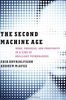 Second Machine Age : Work, Progress, and Prosperity in a Time of Brilliant Technologies