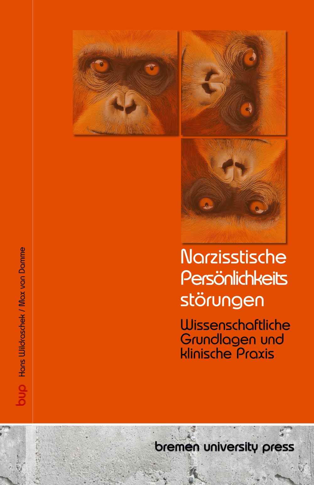 Narzisstische Persönlichkeitsstörungen: Wissenschaftliche Grundlagen und klinische Praxis