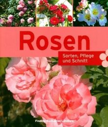 Rosen. Sorten, Pflege, Schnitt