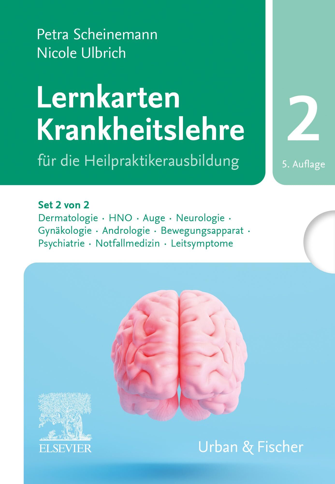 Lernkarten Krankheitslehre Set 2 für die Heilpraktikerausbildung. (Set 2 von 2, Karten H-Q)