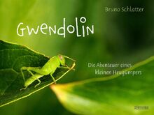 Gwendolin: Die Abenteuer eines kleinen Heugümpers