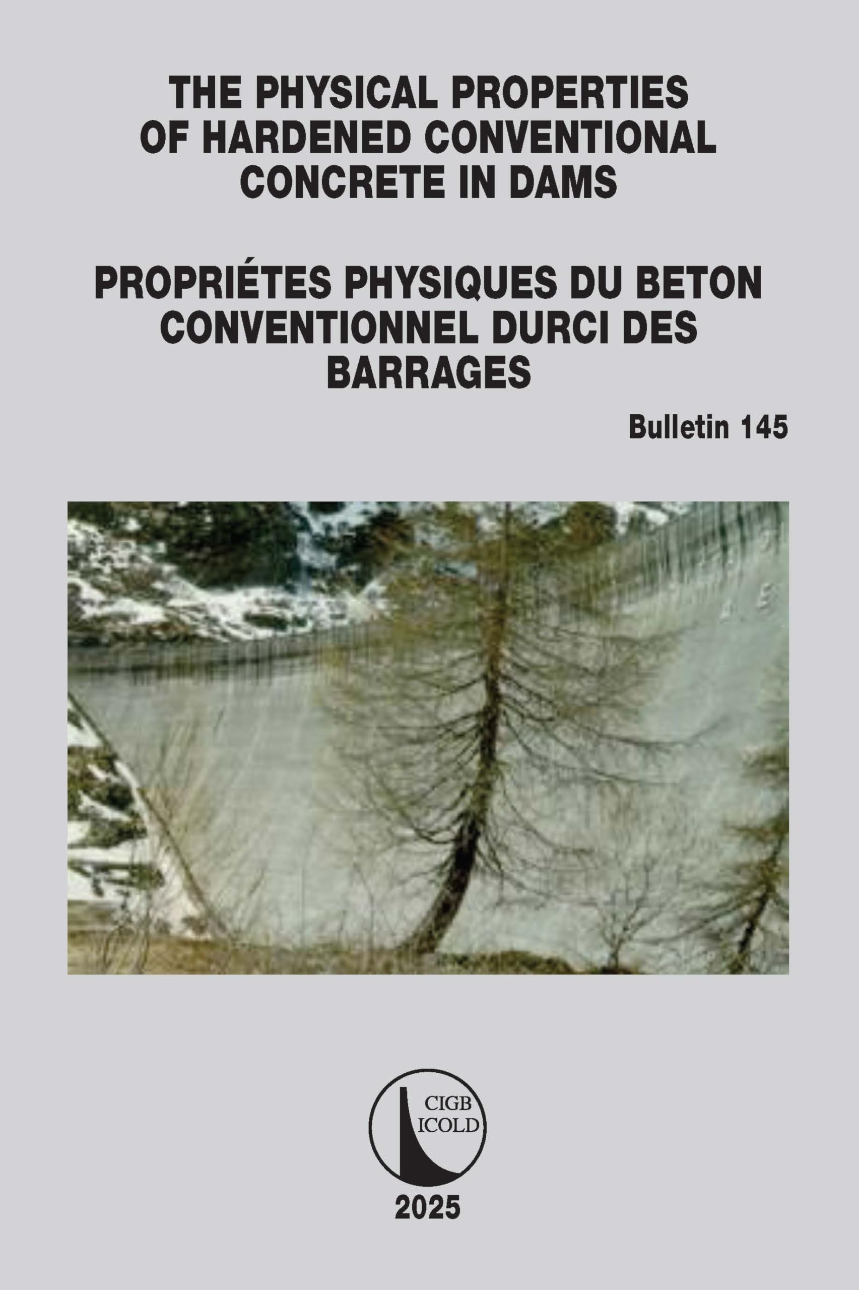 The Physical Properties of Hardened Conventional Concrete in Dams / Propriétes Physiques du Béton Conventionnel Durci des Barrages: ICOLD Bulletin 145 (Icold Bulletins)