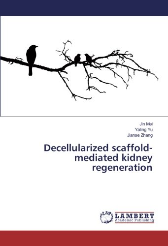 Decellularized scaffold-mediated kidney regeneration